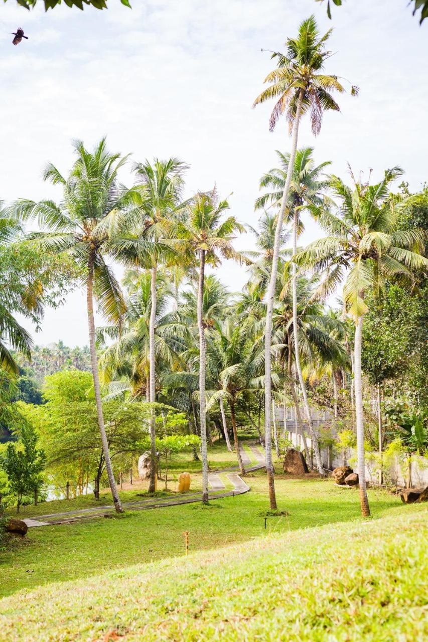 Mekosha Ayurveda Spa Suites Retreat & Resort Attingal Extérieur photo